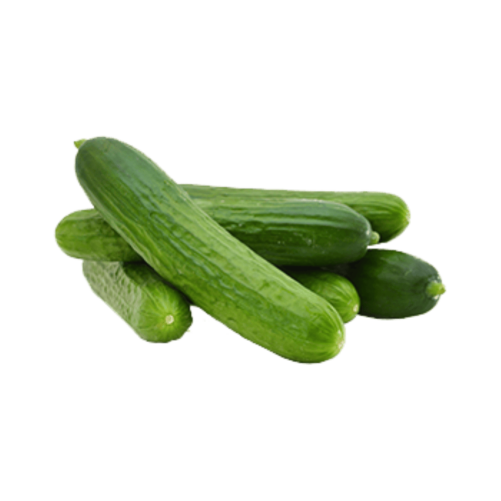 מלפפון בייבי