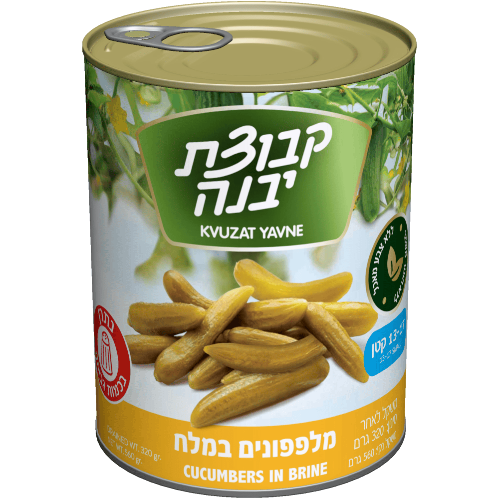 מלפפון במלח13-17