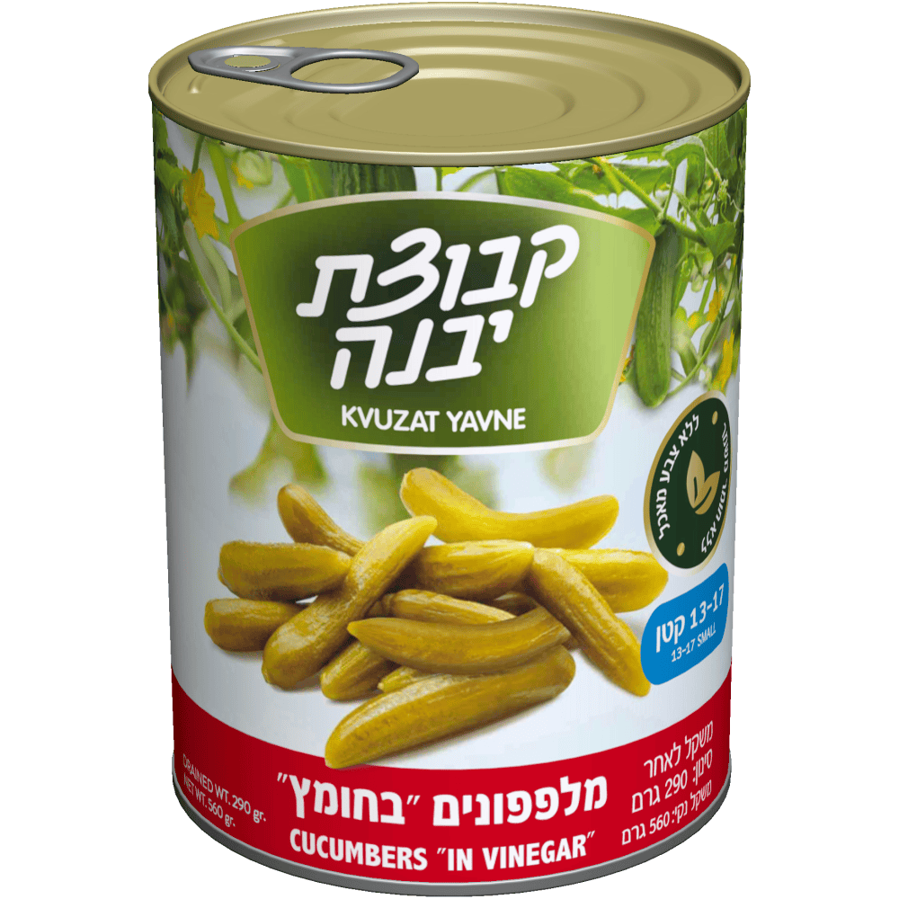 יבנה מלפפון חומץ13-17