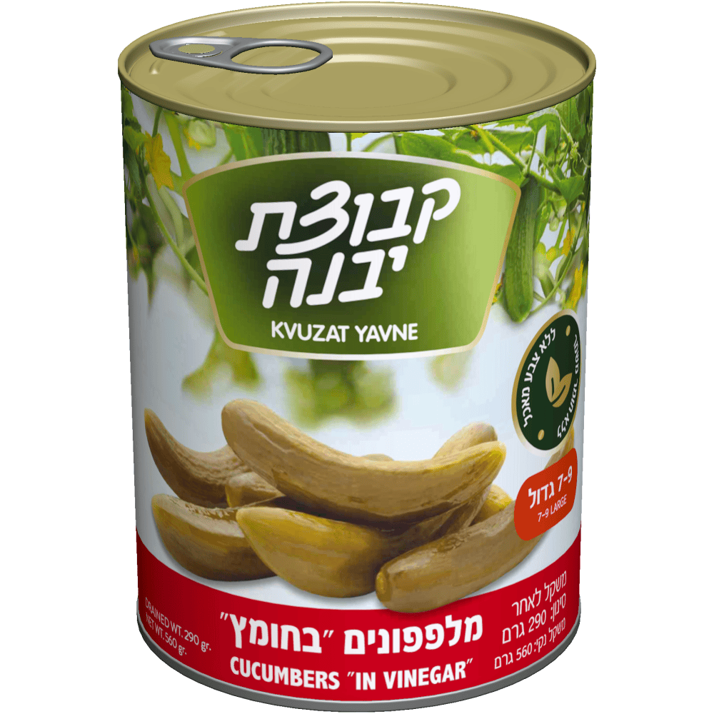 מלפפון יבנה חומץ גדול