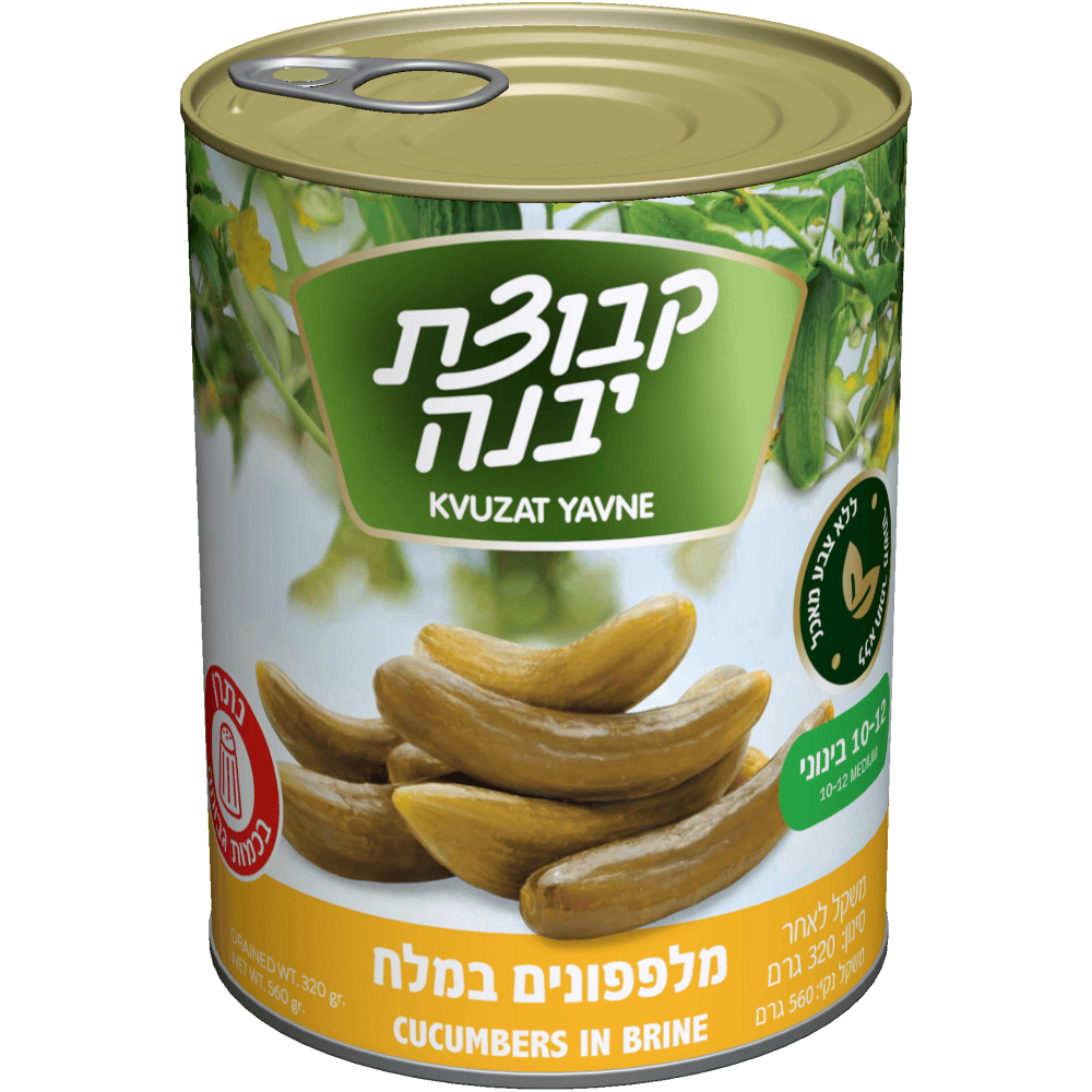 מלפפון במלח10-12