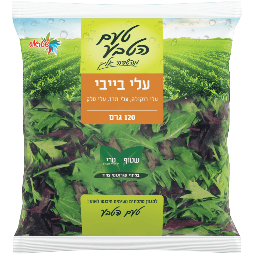 עלי בייבי