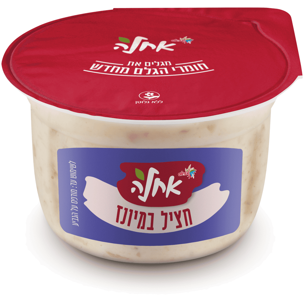 חצילים יום יום