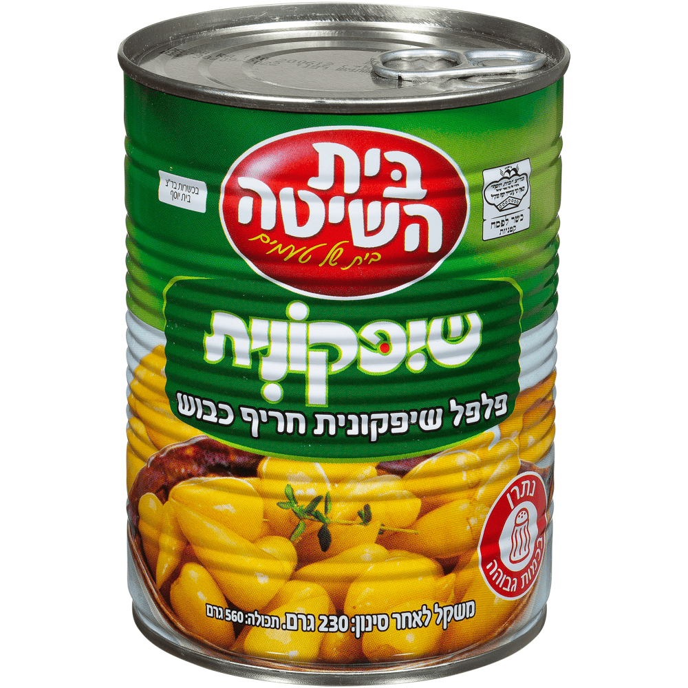 בית השיטה שיפקונית