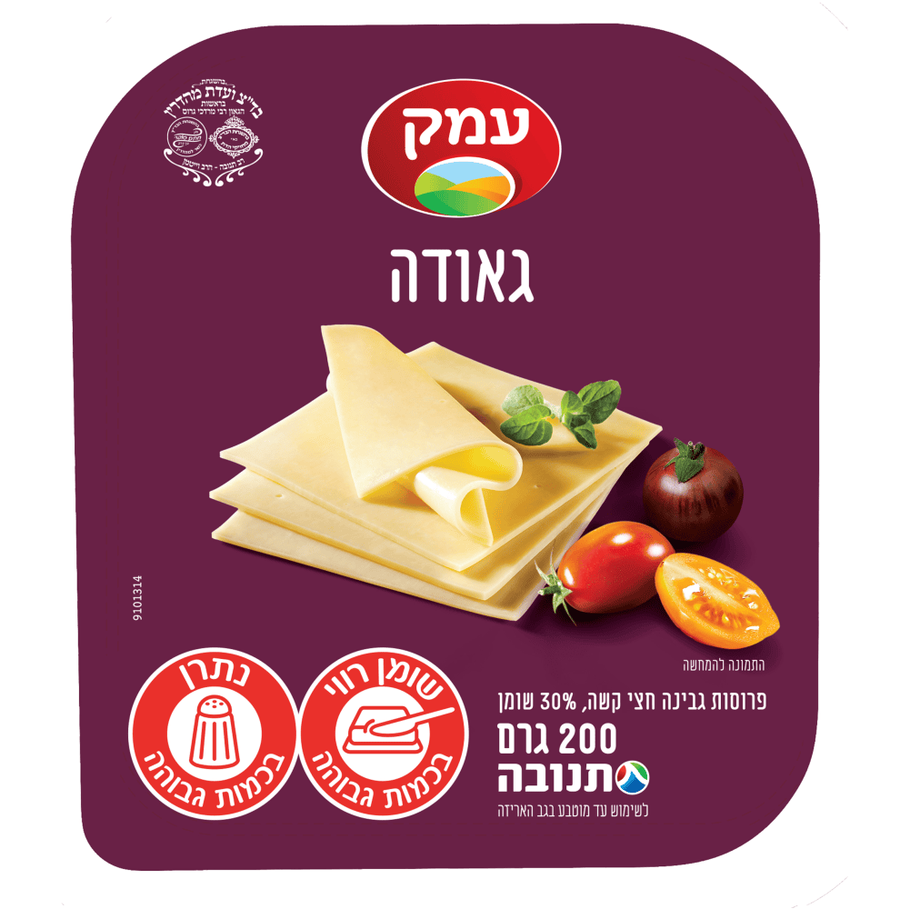 גאודה