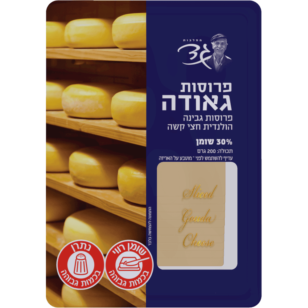 גאודה הולנדית