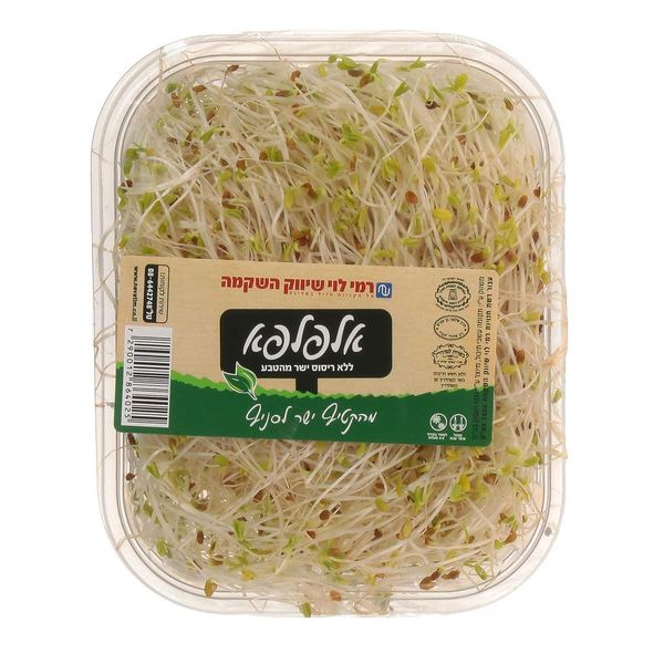 אלפלפא